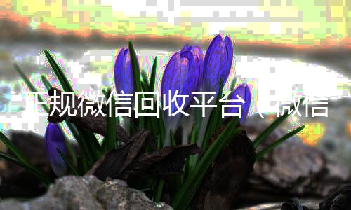 正规微信回收平24小时全天收购vx台（微信回收平台联系方式）