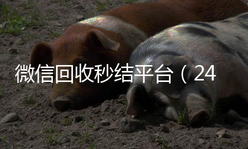 微信回收秒结平台（24在线24小时回收vx小时高价回收微信秒结平台正规微信号回收秒结）